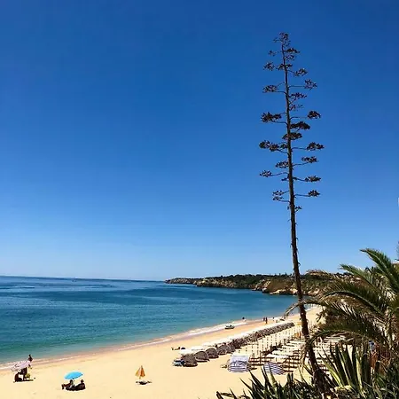Algarve Sweet - Sea View Daire Armação de Pêra